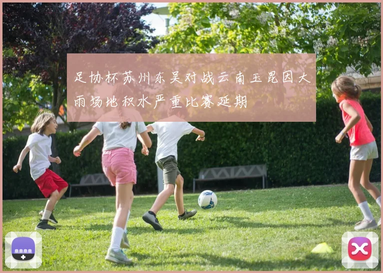 足协杯苏州东吴对战云南玉昆因大雨场地积水严重比赛延期