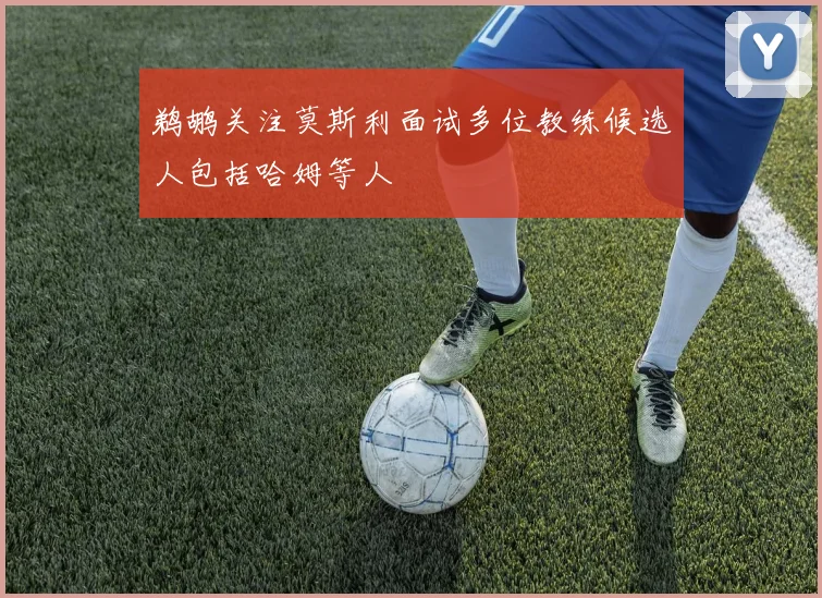 鹈鹕关注莫斯利面试多位教练候选人包括哈姆等人